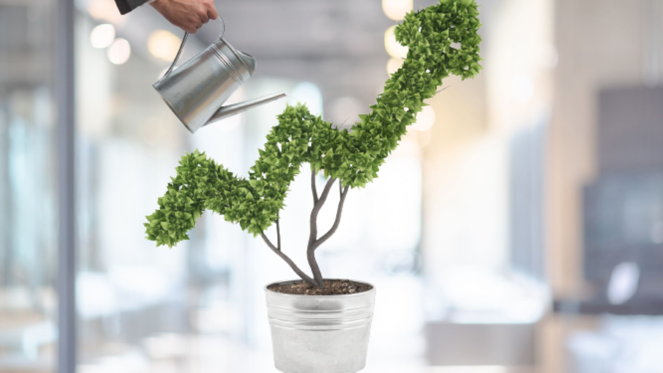 How Offshore Staffing Can Help Your Bottom Line